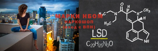 винт Верея