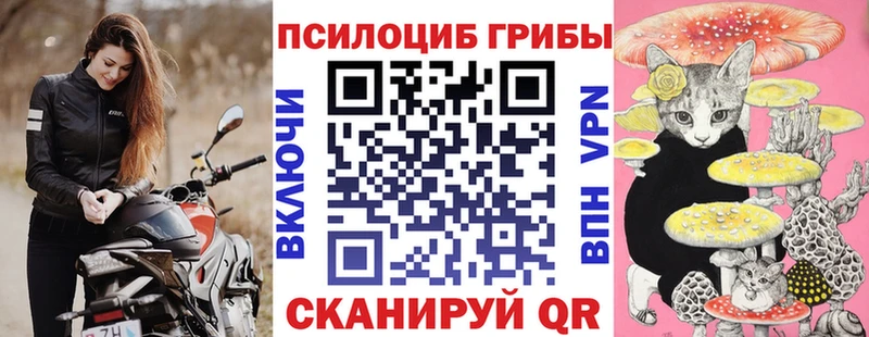 Псилоцибиновые грибы мицелий  Купить закладки  Волчанск 